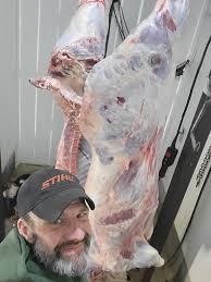 1000 pounder headed to chill !