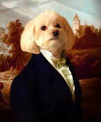 Maybe you would like to learn more about one of these? Funny Pet Portraits Etsy The Y Guide