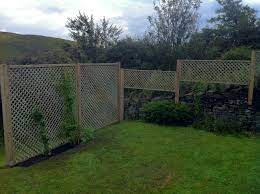 Gardening In Windy Areas Vegetable Garden Garden Design Layout Garden Layout