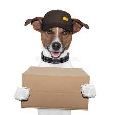 Shop for all of your pet needs at chewy's online pet store. Dog Delivery Post Stock Image Image Of Courier Background 37086837