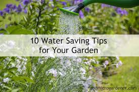 Maybe you would like to learn more about one of these? Ten Water Saving Tips For Your Garden The Micro Gardener