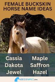 Image result for Light Buckskin 1989 Colt