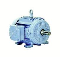Weg 3-Phase W21 TEFC (IP55) - Bl Brngs High Efficiency ...