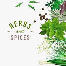 Fresh Herbs And Spices Background Vector Material Vanilla Fresh Herbs Spices Background Png Transparent Clipart Image And Psd File For Free Download In 2020 Herbs Herbs Spices Spices