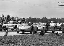 Image result for Dark Fernleaf 1995 Sebring