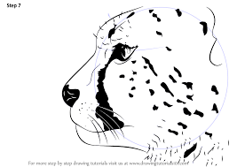 This week i have some tips on drawing a realistic cheetah in graphite. Learn How To Draw A Cheetah S Head Big Cats Step By Step Drawing Tutorials