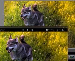 Multiple methods to easily fix it. Solved Lightroom Exports Blurry Picture Adobe Support Community 9705668