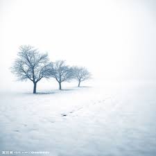 Image result for 雪