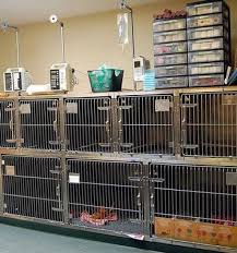 Premier allergist of florida is a team of physicians and nurses trained in allergy, asthma and immunology who pride themselves in over 40 years of service using the newest, most comprehensive techniques for treatment, testing, and diagnosis. Pet Doctor 11419 Bridgeport Way Sw Lakewood Wa Veterinarians Mapquest