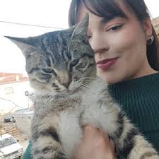 Vegas Indie artists and listeners — Musicalyst