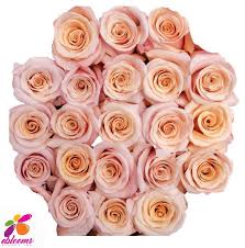 Surprise your loved ones in canada with truly. Mother Of Pearl Peach Rose Variety Rose Varieties Peach Roses Bulk Flowers Online