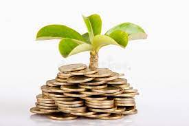 Money Under Trees Or Plant Pile Of Money Indian Coin Isolated On White Backg Ad Pile Money Business Loans Starting A Business Stock Photography Free