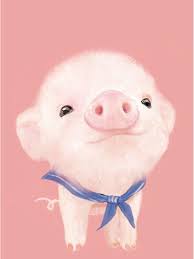 kawaii cute pigs wallpapers top free