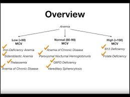 Anemia Types Findings Lab Values Youtube