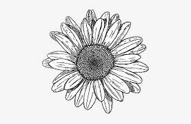 Maybe you would like to learn more about one of these? Tumblr Drawing Hipstergirl Myedit Black And White Flower Png 832x466 Png Download Pngkit