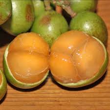 Image result for Melicoccus bijugatus