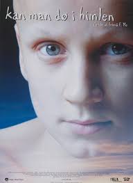 Kan man dø i himlen