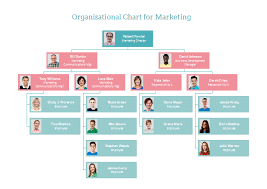 Marketing Org Chart Organizational Chart Design