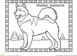 Print alaska fishing coloring page coloring page & book. Alaskan Malamute Worksheet Education Com