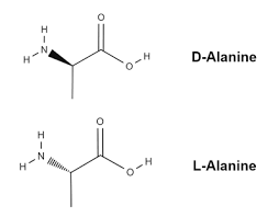 Alanine Overview, Structure & Formula - Video & Lesson Transcript |  Study.com