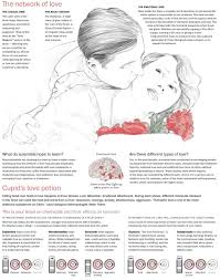 Love Is In The Mind Not In The Heart Science Of Love Psychology Psychology Facts