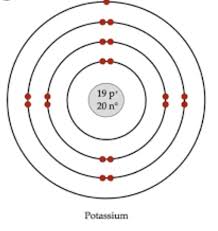 Atomic Structure Bohr Model Atomic Structure Pinterest Logo