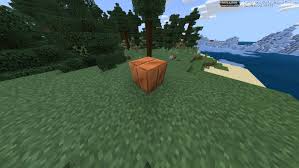 The quality of the pixels improve and the game turns into a unique organic one. 1 17 Update Concept Minecraft Pe Mods Addons