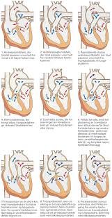 Som regel er forkjølelse årsaken, men noen ganger har hosten andre årsaker. Medfodte Hjertefeil Store Medisinske Leksikon