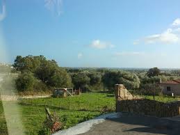 Warum Nicht Ein Haus Auf Sardinien Bauen Sardinien Immobilien