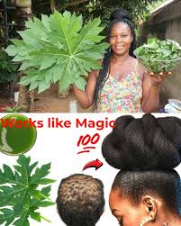 Papaya Leaves: Do Not Make This Hair Treatment if You're Not Ready for Extreme  Hair Growth 👇