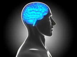 Image result for Brain Lesion