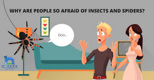 I assume you mean to overcome the fear of spiders. Why Are People So Afraid Of Insects And Spiders Hulett