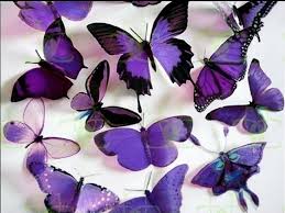 Check spelling or type a new query. Free Download Butterflies Images Purple Butterflies Hd Wallpaper And Background 1024x768 For Your Desktop Mobile Tablet Explore 73 Purple Butterfly Background Purple Butterfly Desktop Wallpaper