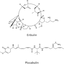 Image result for Eribulin