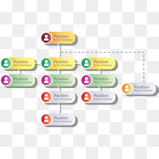 Systematic Illustrator Org Chart Template Adobe