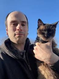 Cats: Grey Maine Coon/Ragdoll & Siamese Applehead Seal Point