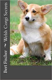 Pure bred corgis from reputable professional breeders usually require quite a few hundreds of dollars. Buy Welsh Corgi Secrets Book Online At Low Prices In India Welsh Corgi Secrets Reviews Ratings Amazon In