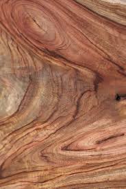All Sizes Ww75 Wood Texture Camphor Laurel Flickr Photo Sharing Wood Texture Wood Texture