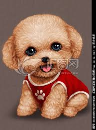 萌宠狗卡通狗手绘明信片 teddy bear animals art