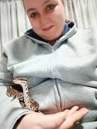 Dog bitten by snake is recovering