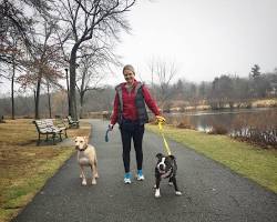 two dogs walking with their ownerの画像