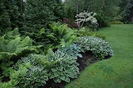 Perennial Garden Westport Ct Traditional Landscape New York By Petrowgardens Landscape Design