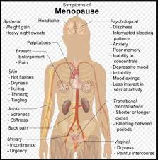 Pin On Menopause Sucks