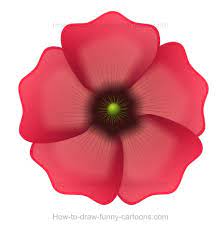 Poppy flower vector drawing set. How To Draw A Poppy