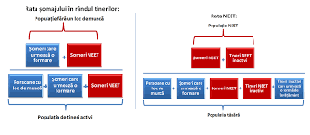 Pe de alta parte, angajatorii care incadreaza in munca, pe perioada nedeterminata, someri in varsta de peste 45 de ani, someri care sunt parinti unici sustinatori ai familiilor monoparentale, someri de lunga durata sau tineri neet primesc lunar de la bugetul de stat, pe o perioada de 12 luni, pentru fiecare persoana angajata din aceste. Https Www Eca Europa Eu Lists Ecadocuments Sr17 5 Sr Youth Guarantee Ro Pdf