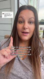 How to Make Puppy Stop Looking Gor Things Off Ground While Walking