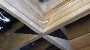 Solusi Kolam Terpal Bocor Dunia Walet