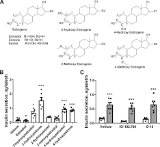 We did not find results for: Catechol Estrogens Stimulate Insulin Secretion In Pancreatic B Cells Via Activation Of The Transient Receptor Potential A1 Trpa1 Channel Journal Of Biological Chemistry