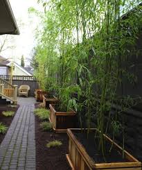 Create an artwork on a garden gate. Landscaping With Bamboo Bob Vila S Blogs
