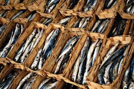 We did not find results for: Artikel Tips Memilih Ikan Pindang Yang Bebas Pengawet Berbahaya
